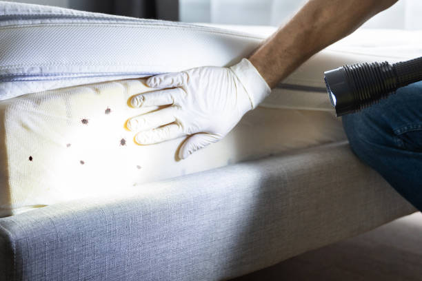 Best Cockroach Control Services  in La Grange, NC